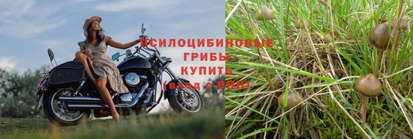 2c-b Арсеньев